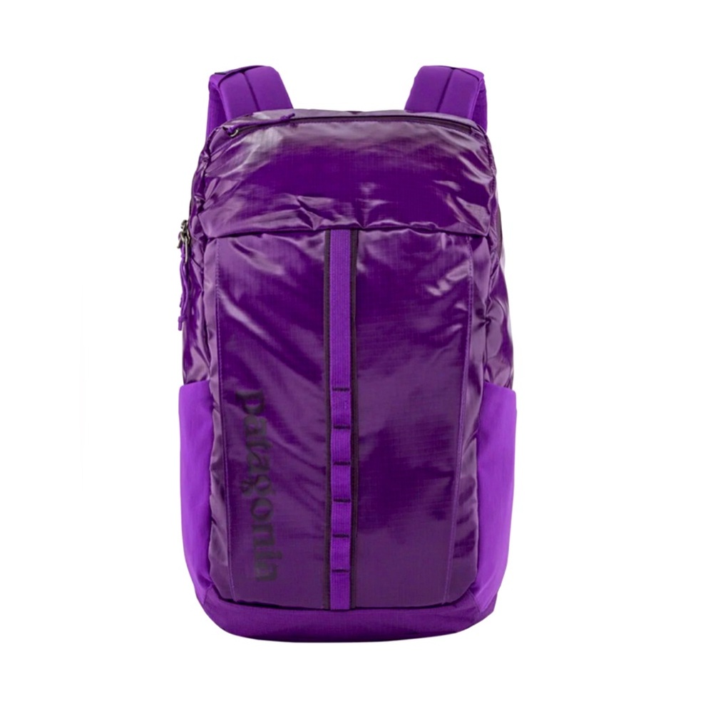 Patagonia Womens Black Hole Pack 23L